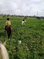Galilee Bedouin Camplodge