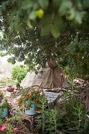 Galilee Bedouin Camplodge