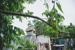 Galilee Bedouin Camplodge