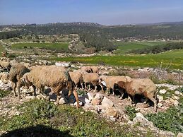 Galilee Bedouin Camplodge
