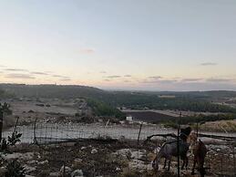 Galilee Bedouin Camplodge