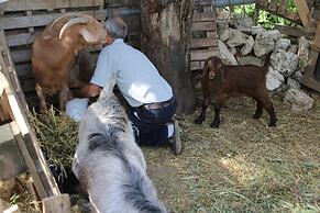 Galilee Bedouin Camplodge