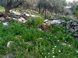 Galilee Bedouin Camplodge