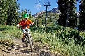 Kirkwood Mountain Resort Properties