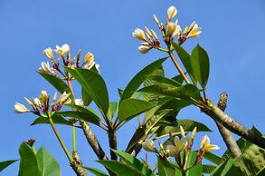 SEMINYAK ICON by Karaniya Experience