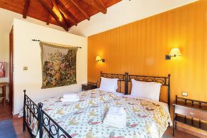 Pleiades Studios - All Season Gems