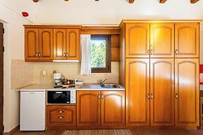 Pleiades Studios - All Season Gems