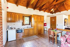 Pleiades Studios - All Season Gems