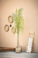 Sea View Hotel & Apartments