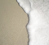 Hôtel du petit baigneur