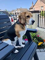 Salisbury Guest House