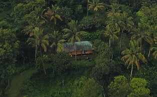 Punarjani Ayurvedic Resorts