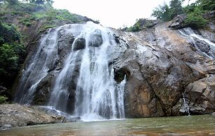 Punarjani Ayurvedic Resorts