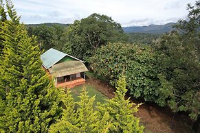 Punarjani Ayurvedic Resorts