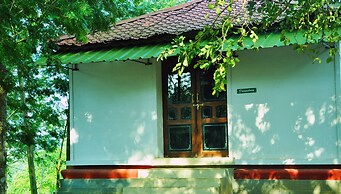 Punarjani Ayurvedic Resorts