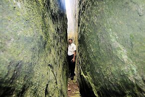 Punarjani Ayurvedic Resorts