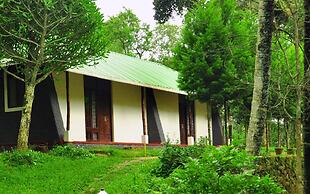Punarjani Ayurvedic Resorts