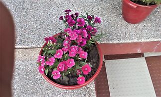 Hotel Ganesha Inn Ganga View