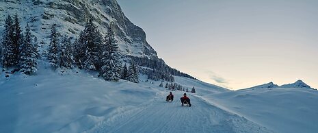 Hotel Schönegg Wengen