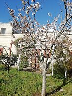 Masseria dei 12 Granai