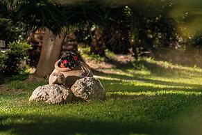 Villa Phoenix Apartments & Studios