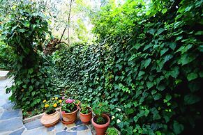 Villa Phoenix Apartments & Studios