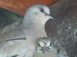 Pousada Villa Simone