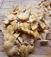 Locanda del Principato