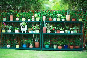 The Cliff Resort & Residences