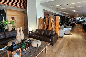 Wyndham Concepcion Pettra