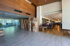 Wyndham Concepcion Pettra