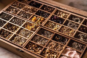 Dorado Beach, a Ritz-Carlton Reserve