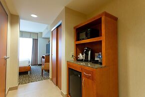 Hilton Garden Inn Cedar Falls