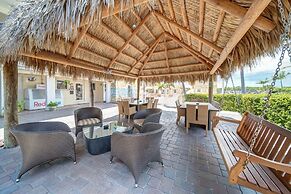 Hollywood Beach Seagull