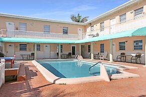 Hollywood Beach Seagull