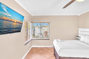 Hollywood Beach Seagull