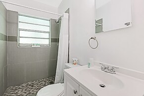 Hollywood Beach Seagull