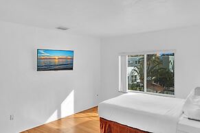 Hollywood Beach Seagull