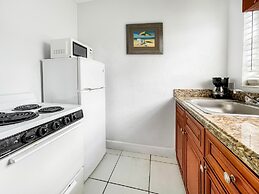 Hollywood Beach Swan