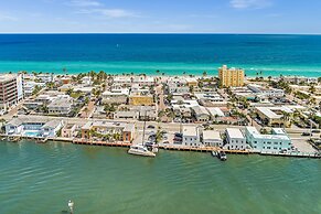 Hollywood Beach Swan