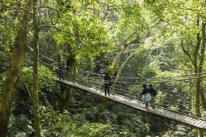 The Great Roots Forestry SPA Resort