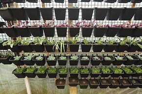 Delightz Inn Resorts