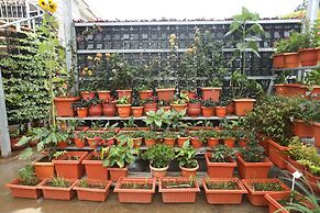 Delightz Inn Resorts