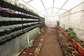 Delightz Inn Resorts