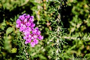 aCasaMia Wine Resort - Borgo Salella