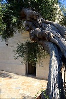 Agriturismo Masseria San Leonardo