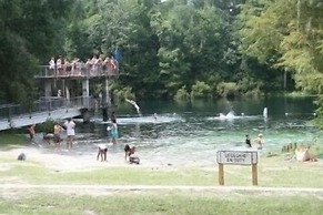 The Lodge at Wakulla Springs