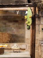 Antica Masseria Martuccio