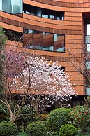 HUALUXE Shanghai Twelve at Hengshan