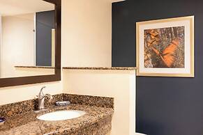 Courtyard Toluca Tollocan